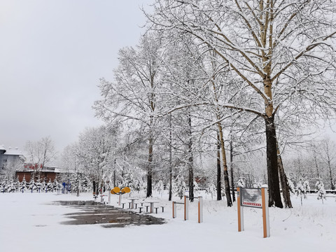 春天的雪挂