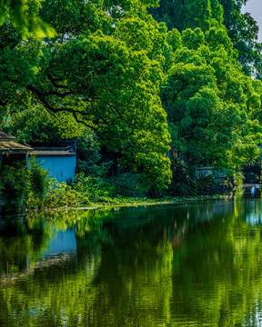 杭州西湖风景区