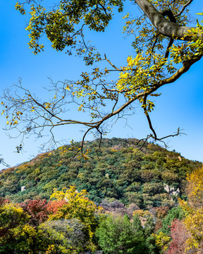 苏州天平山秋色景观