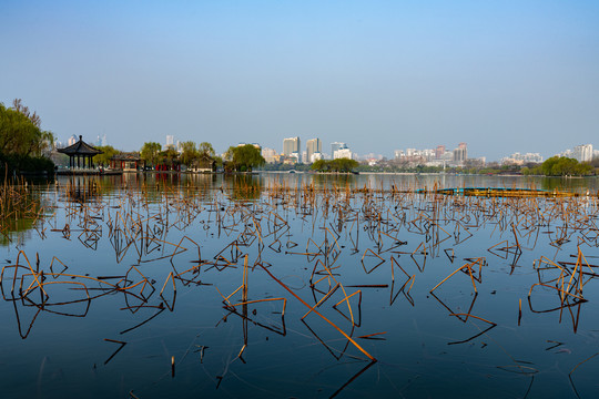 山东济南大明湖风景区