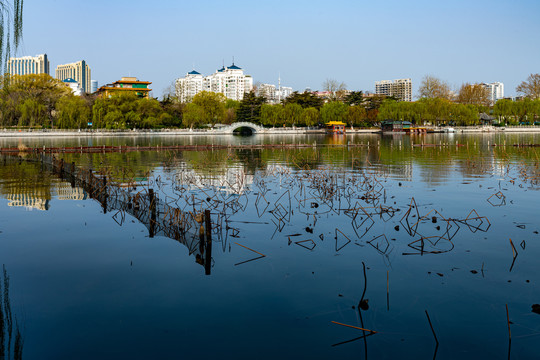 山东济南大明湖风景区