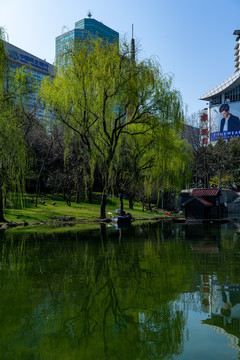 上海徐家汇公园