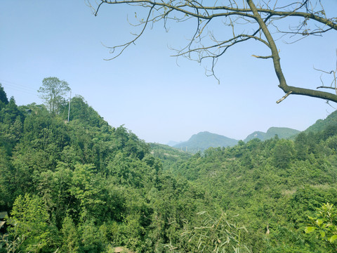 青山