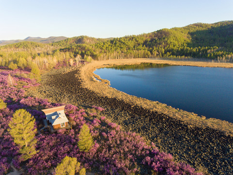 春季火山堰塞湖杜鹃花