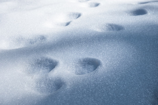 冰雪脚印