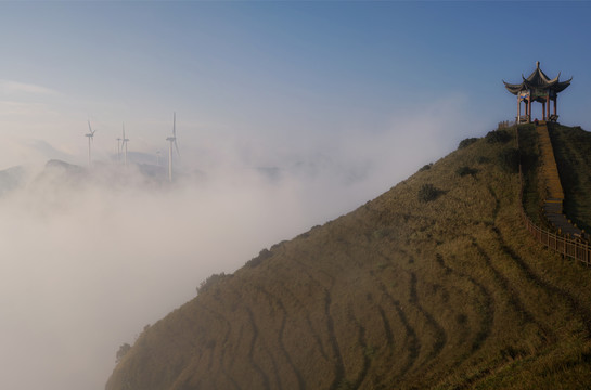 乌蒙山大草原杜鹃花海星空云海