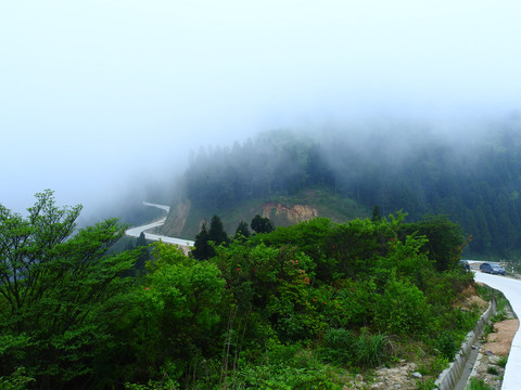 仙姑坛天岽