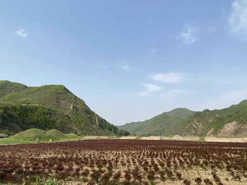 丸都山城