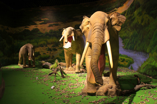 黄河大象雕像