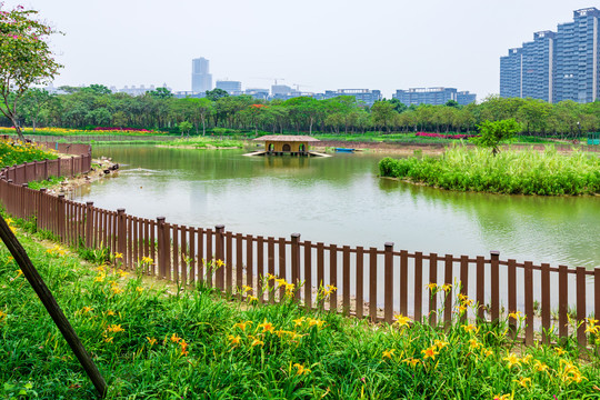 桂畔湖湿地公园