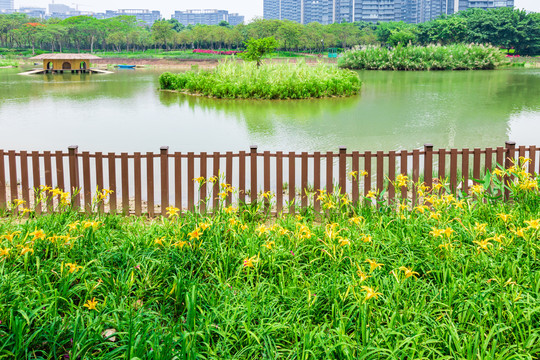 桂畔湖湿地公园