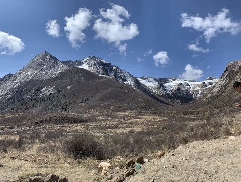 莲宝叶则风景