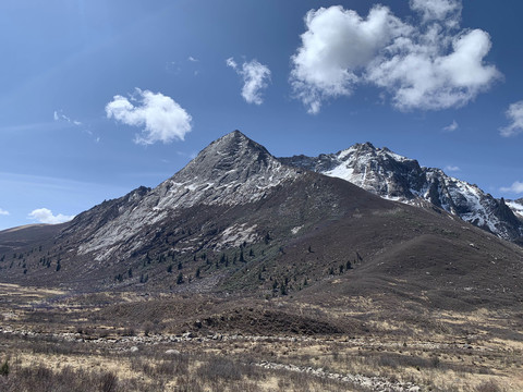 莲宝叶则风景