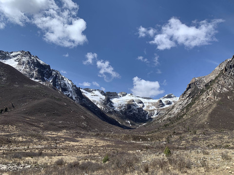 莲宝叶则风景