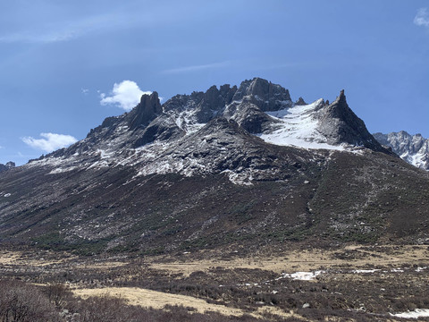 莲宝叶则风景