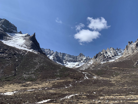 莲宝叶则风景