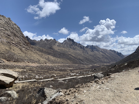 莲宝叶则风景