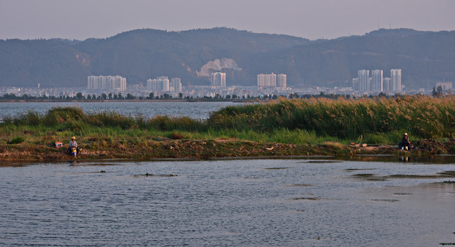 湿地景观