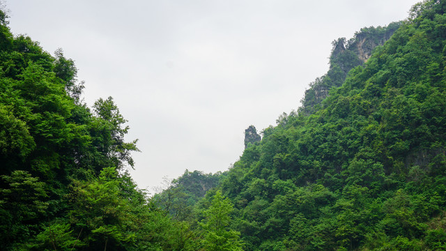 石板河风光二