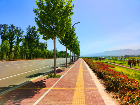 河堤林荫公路