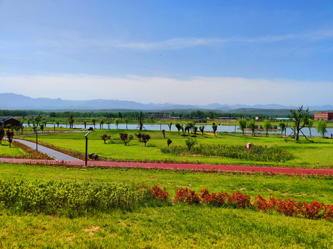 湿地公园休闲步道