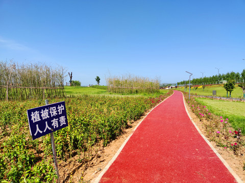 观景健身步道