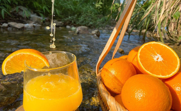 鲜美多汁的橙子