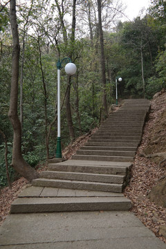 圭峰山散步台阶