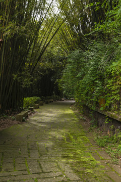 武夷山风光