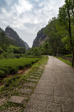 武夷山风光