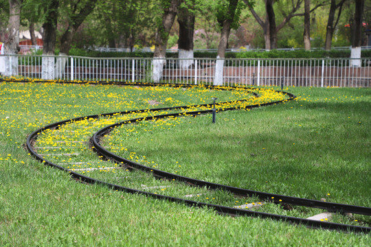 草坪上的火车轨道