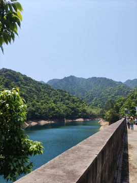 水库风景森林