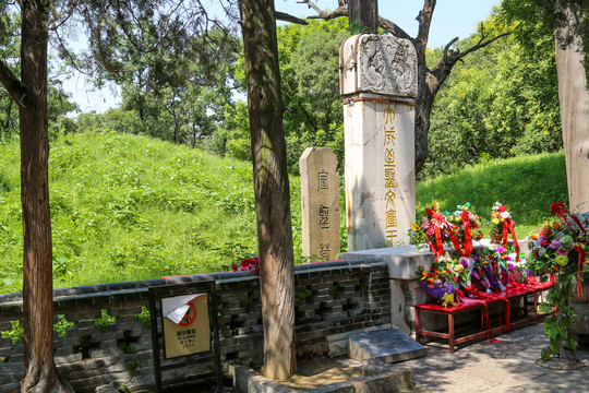 曲阜三孔景区孔林