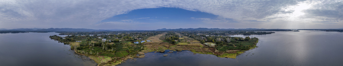 宽幅山水田园茶园图片