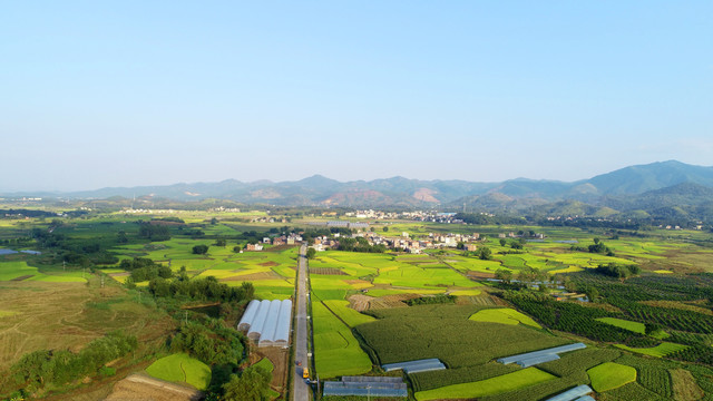 田园风光