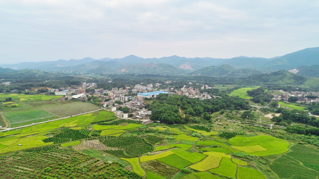 田园