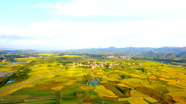 田园