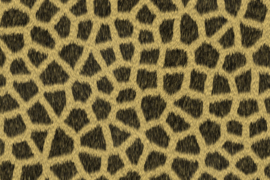 豹纹地毯底纹纹理