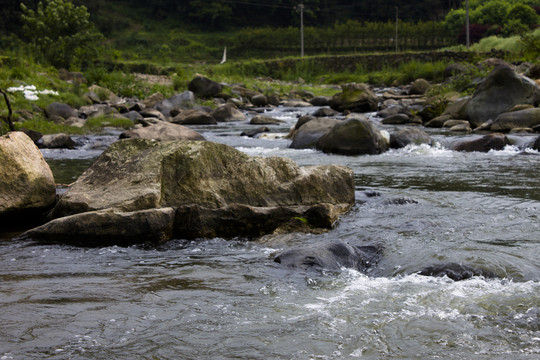 水中石景