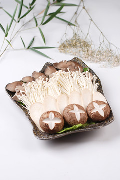 菌类大拼