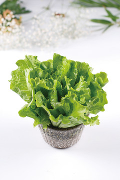 生菜