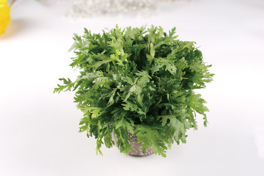 茼蒿