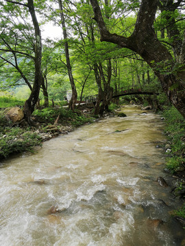 山溪水