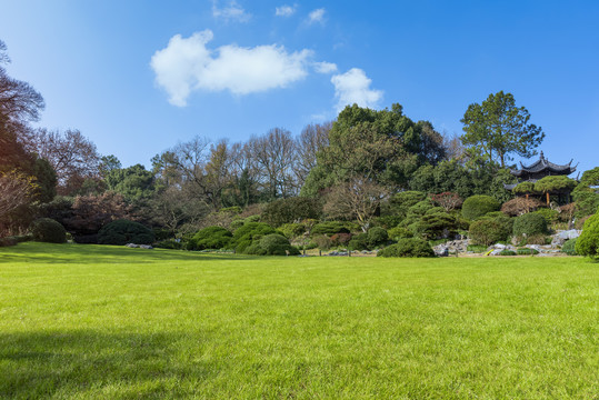 杭州西湖花港观鱼园林景观秋景