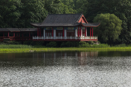 信阳两河口湿地公园风光