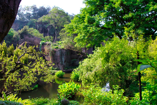 莲花山