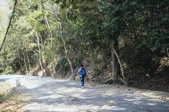 男背包客戴着帽子独自在森林里的小路上行走。