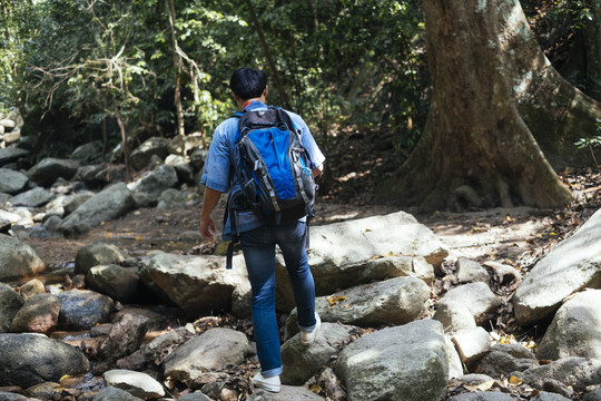 戴着帽子的男性徒步旅行者在森林中的瀑布边的岩石上散步，并为鸟类和树木拍照。