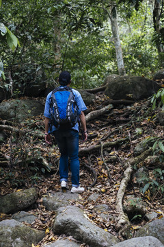 男徒步旅行者带着相机走进阴暗的森林，拍摄大自然的照片。