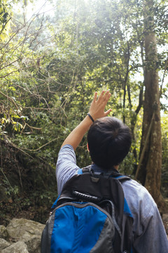 下午，一位男性徒步旅行者在森林里行走，阳光非常炎热。